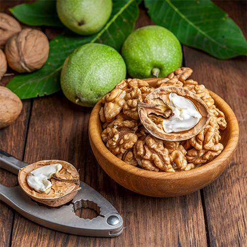 Грецкий орех "Идеал" (ранний, 1 летний)