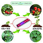 Фітосвітильник для рослин 18Вт 1200мм 3PIN (4 червоних: 2 синіх) 4R: 2B, фото 10