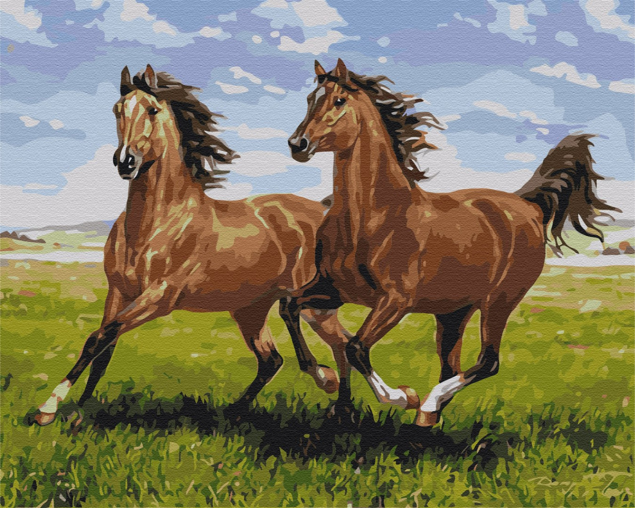 Картини за номерами 40×50. Скакуни на пробіжці Brushme