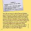 Книга Українці у світі: 33 правдиві історії. Назар Розлуцький, фото 8