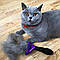 Фурмінатор щітка для шерсті кішок та собак Інструмент для видалення підшерстя FURminator для коротшерстих коті, фото 7