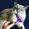 Фурмінатор щітка для шерсті кішок та собак Інструмент для видалення підшерстя FURminator для коротшерстих коті, фото 5