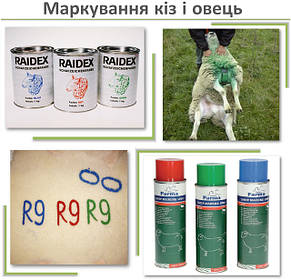 МАРКУВАННЯ кіз і овець