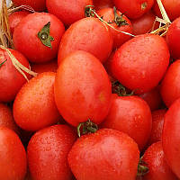 Насіння томатів Наміб F1 20нас