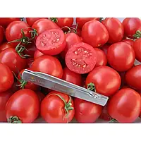 Насіння томатів "1 855 F1" (Lark Seeds) 20нас