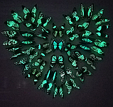 Подарунок за покупку від 330 грн. флуоресцентніий метелик 3D наліпка, фото 2