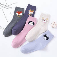 Комплект 5 пар носков женские носки жіночі шкарпетки