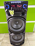 Колонка з акумулятором ZXX-9292 / 2x10"/ 2x125W/ 2 радіомікрофони / TMG ORIGINAL, фото 3