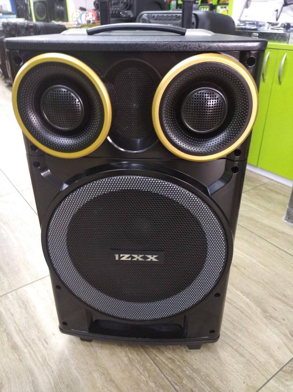 Колонка з акумулятором ZXX /200W/ радіо мікрофони/ BT/ SD+USB+FM/ LED