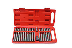 Набір біт IMBUS і TORX 40 пр. Біти гранені, Торкс Набір Біт RED-FOX