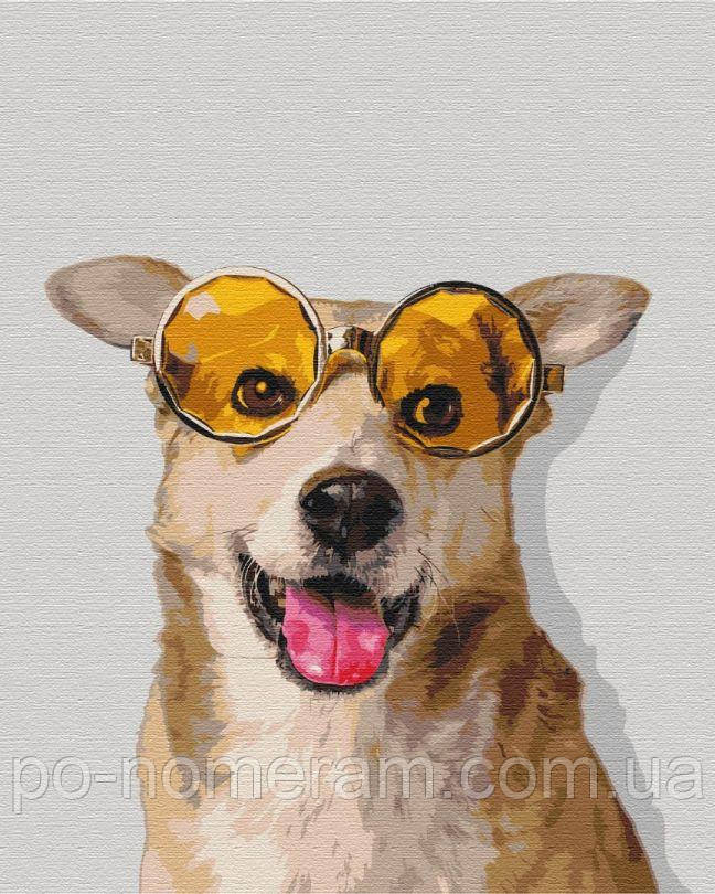 Акційна Розмальовки за номерами BrushMe Коргі-хіпстер (BS52094) 40 х 50 см, фото 1