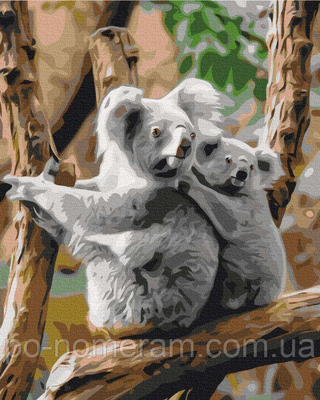 Акційна Картина за номерами BrushMe Сім'я коал (BS52451) 40 х 50 см, фото 1
