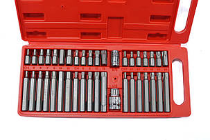 Набір біт IMBUS і TORX 40 пр. Біти граненки, Торкс Набір Біт RedFox, фото 3