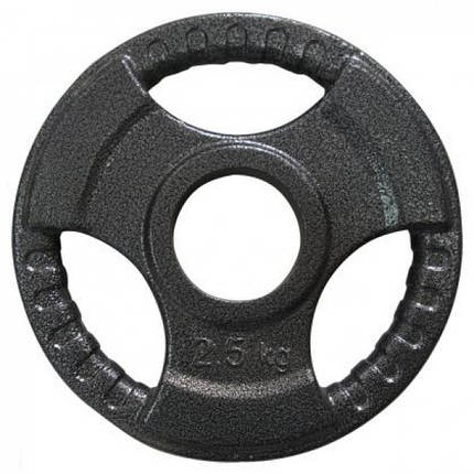 Диск важкоатлетичний з хватами млинець для штанги металевий Newt 2,5 кг (31 мм), фото 2