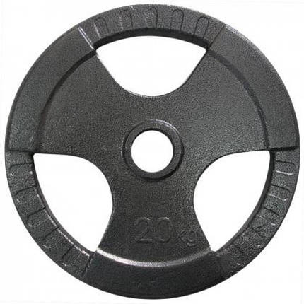 Диск важкоатлетичний з хватами млинець для штанги Newt 20 кг (31 мм), фото 3