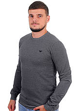 Світшот чоловічий Armani 21-5000 сірий S, фото 4
