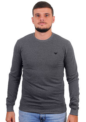Світшот чоловічий Armani 21-5000 сірий S, фото 3