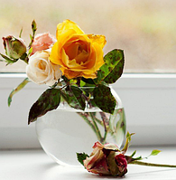 Ваза стеклянная маленькая шар | аквариум для цветов | Flora h-74мм