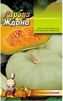 Качественные посевные семена тыквы "Ждана" (скороспелая) | 10гр