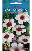 Семена лен крупноцветковый "Крупноцветковый." (однолетние) | 8г