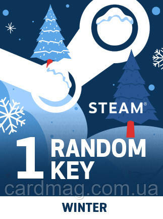 Random Winter 1 Key для ПК (Ключ активації Steam) регіон Весь світ