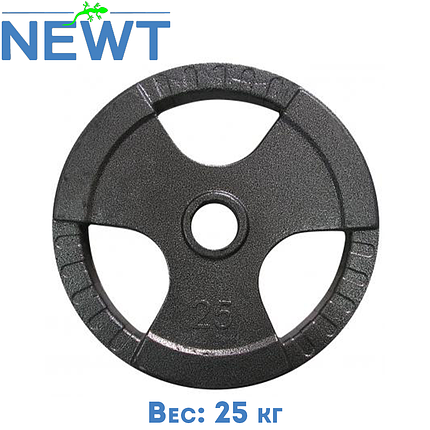 Диск важкоатлетичний з хватами млинець для штанги Newt 25 кг (31 мм), фото 1