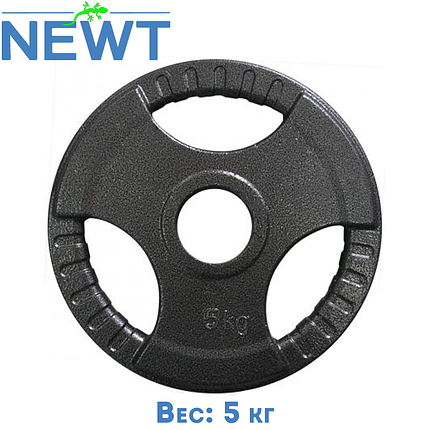 Диск важкоатлетичний з хватами млинець для штанги металевий Newt 5 кг (31 мм), фото 1