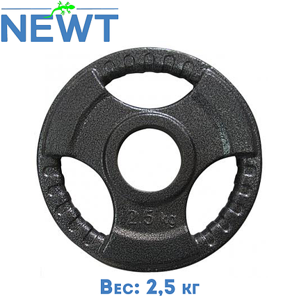Диск важкоатлетичний з хватами млинець для штанги металевий Newt 2,5 кг (31 мм), фото 1