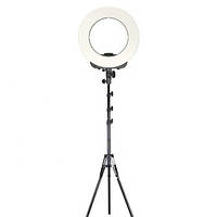 Кольцевая светодиодная лампа со штативом LED SOFT RING LIGHT RL-14 36CМ z12-2024