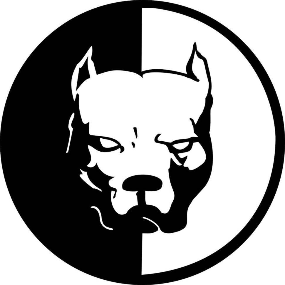 

Виниловая наклейка на автомобиль - Pitbull / Питбуль v2