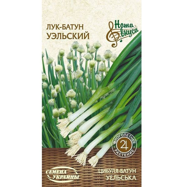 

Лук-батун УЭЛЬСКИЙ 1г (20 пачек) (рс) ТМ СЕМЕНА УКРАИНЫ