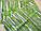 Штора для ванної Mirada Bamboos Туреччина 180*200 см, фото 4