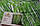 Штора для ванної Mirada Bamboos Туреччина 180*200 см, фото 3
