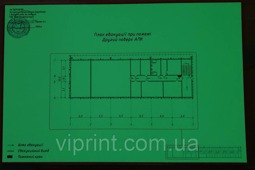 Фотолюминесцентный план евакуації 400х600 - фото 7 - id-p1778780406
