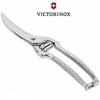 Кухонні ножиці для обробки птиці Victorinox Stainless 25 см Сталеві (7.6345) оригінальні Швейцарія