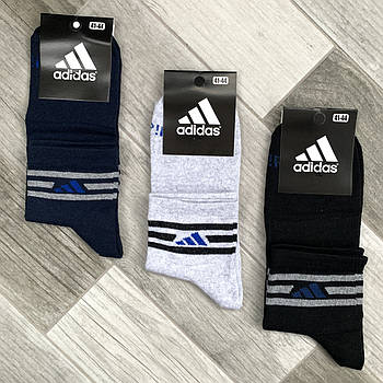 Шкарпетки чоловічі демісезонні бавовна спортивні Adidas, середні, асорті з сірим, 06207