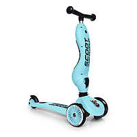 Самокат-беговел Scoot and Ride Highwaykick-1 Blueberry