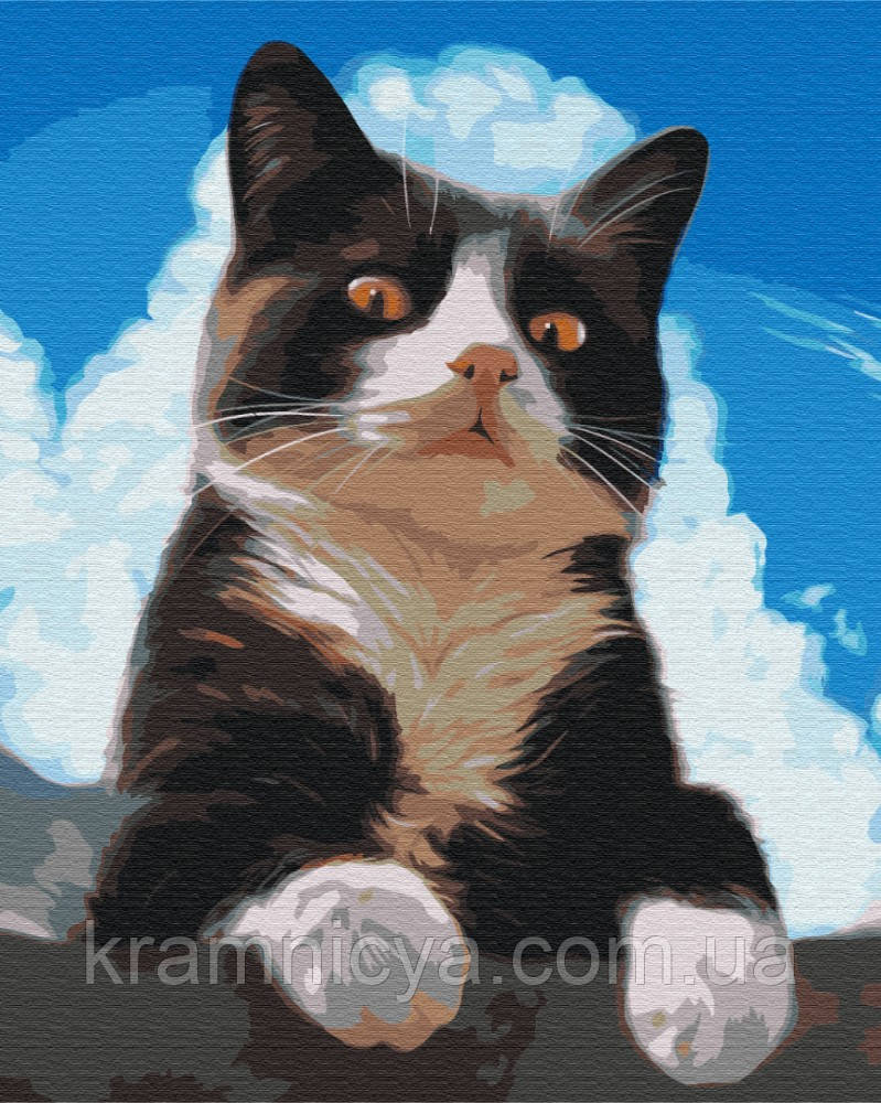Картина за номерами Допитливий котик, 40х50 Brushme (BS51941)