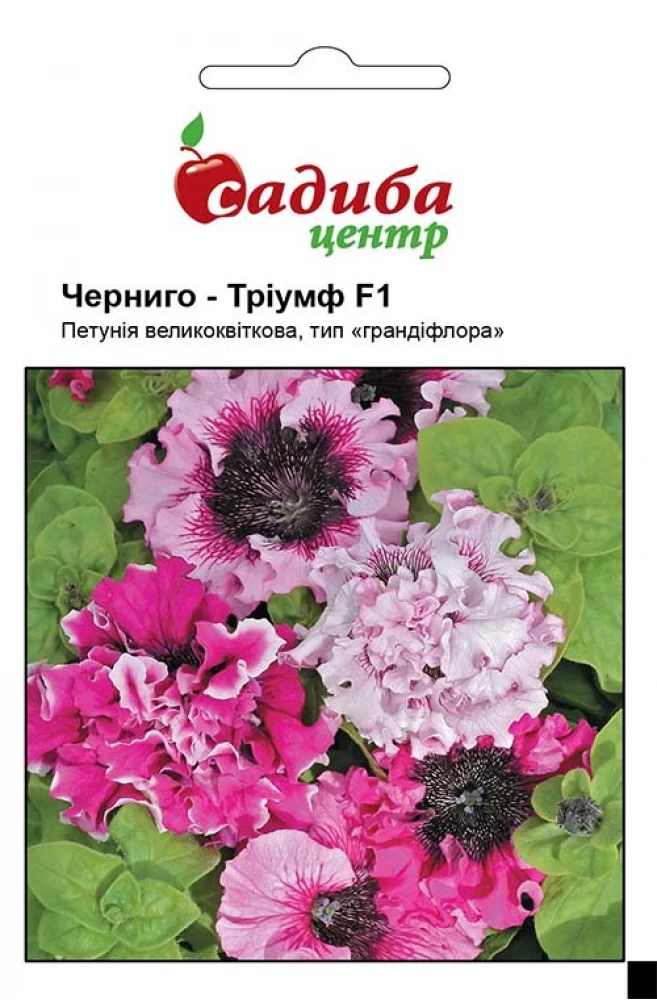 Петунія Черниго Тріумф F1 10 шт. Černý Seed, Чеська Республіка