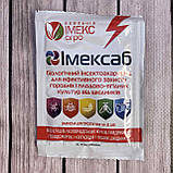 Інсектицид/ захист декоративних культур Бацитоксин 10 г, фото 4