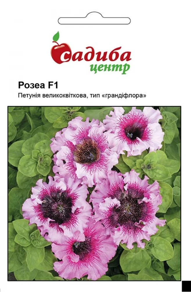 Петунія Розеа F1 10 шт. Černý Seed, Чеська Республіка