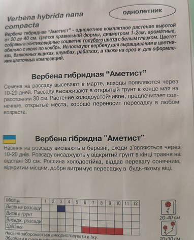 Вербена гібридна Аметист 0,1г, фото 1