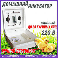 Домашній атлас Веселе поєднання (80 яєць, ручний переворот)