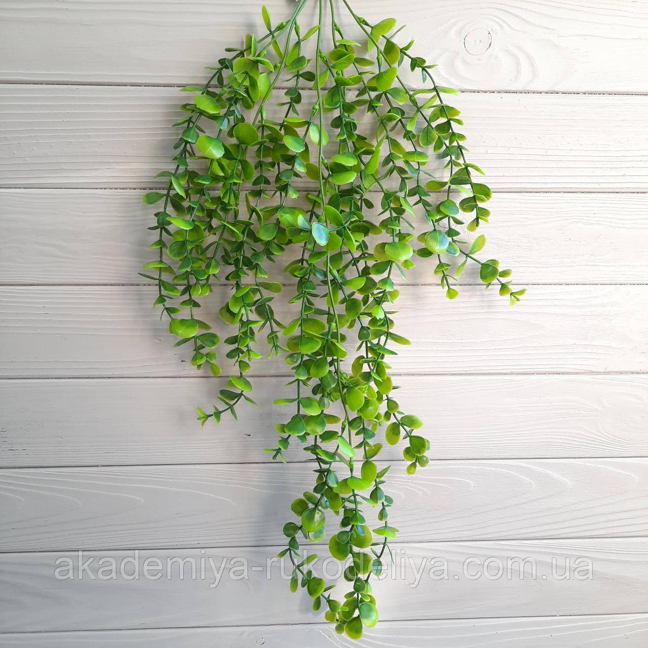 Гілка ампельна. Звисаюча. Велика. 70 см