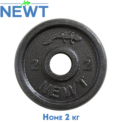 Блін для гантелі металевий диск сталевий для гантелі блін на гантель Newt Home 2 кг діаметр 28 мм чорний, фото 1