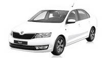 Автоаксесуари для Skoda Rapid