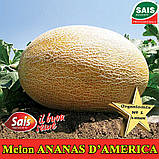 Диня Ананас ТМ Sais (Италія), жестяна банка 500 грам. Імпорт 2025, фото 3