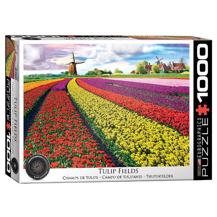 Пазл Поле тюльпанів в Нідерландах, 1000 елементів Eurographics 6000-3004
