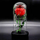 Вічна троянда в колбі 20 см, з LED підсвічуванням, Червона, №А51 Стабілізована троянда в скляній колбі, фото 5