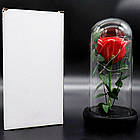 Вічна троянда в колбі 20 см, з LED підсвічуванням, Червона, №А51 Стабілізована троянда в скляній колбі, фото 8